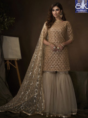 Sparkling Beige Color Soft Net New Desig
