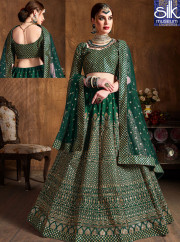 Delightful Green Color Raw Silk New Desi