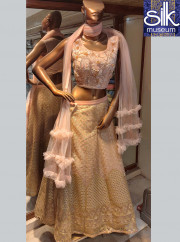 Pink Color Bollywood Crop Top With Hand Work In Net