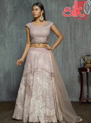 Dusty Pink Gown Net & Santoon Fabric Wit