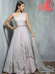 Grey Gown Net With Santoon Fabric With S