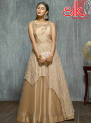 Brown Gown Net,Lycra Fabric With Stone, 